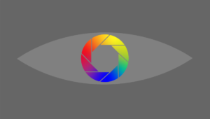 task1_SenecaChaseStevens