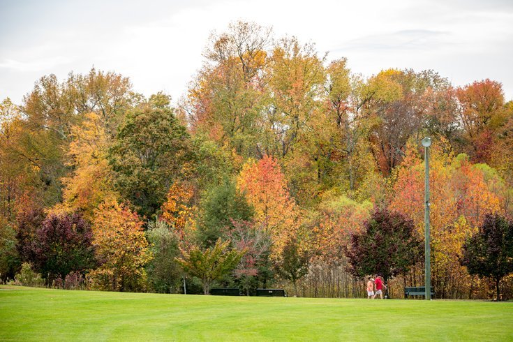 Journal 1 – Claire Hubby