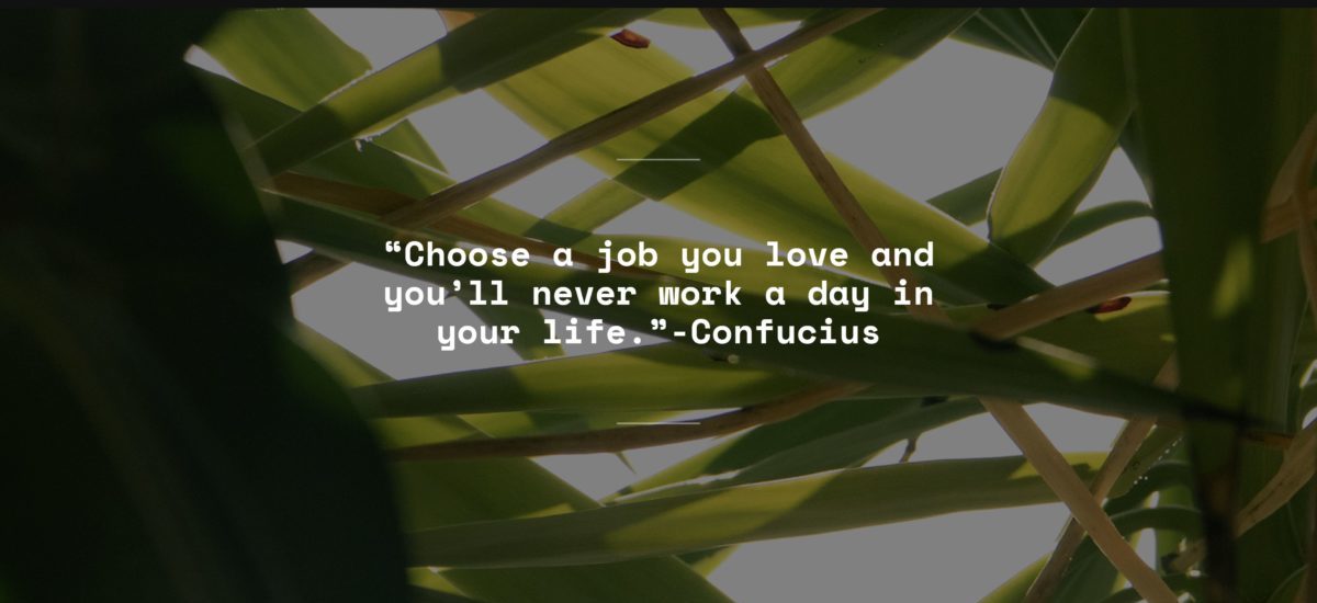 Portfolio 1- David Jakacky