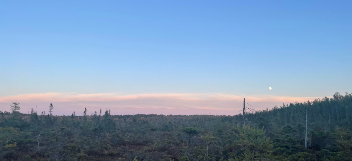 Task 6 – Angel Darling