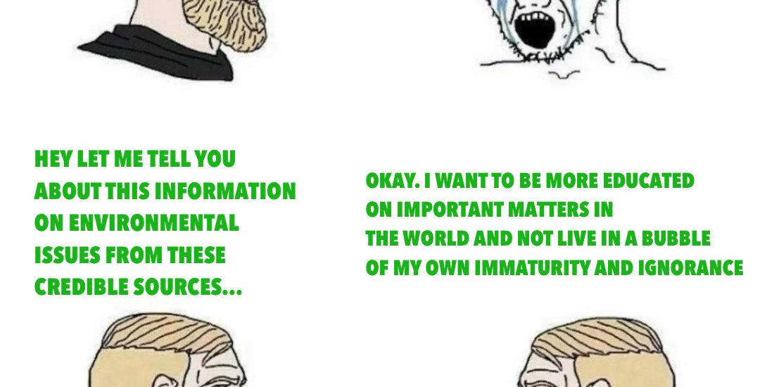 Task 10 – Meme – Angel Darling