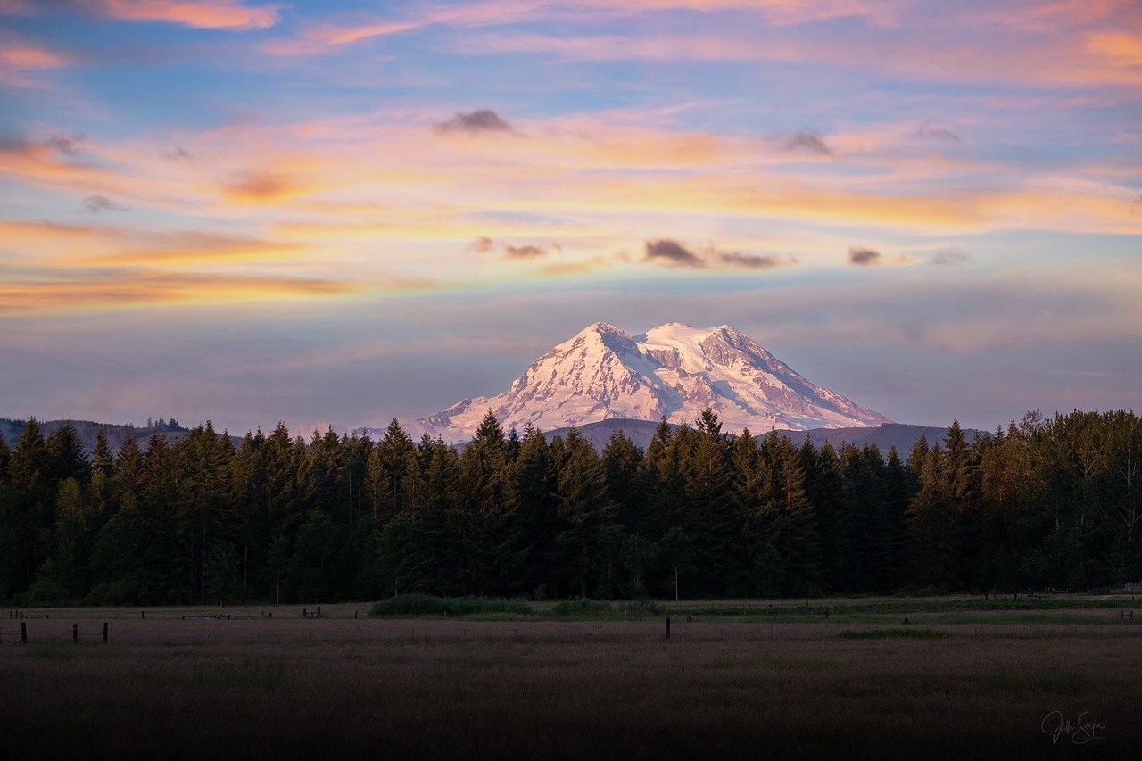 field, trees, mountain