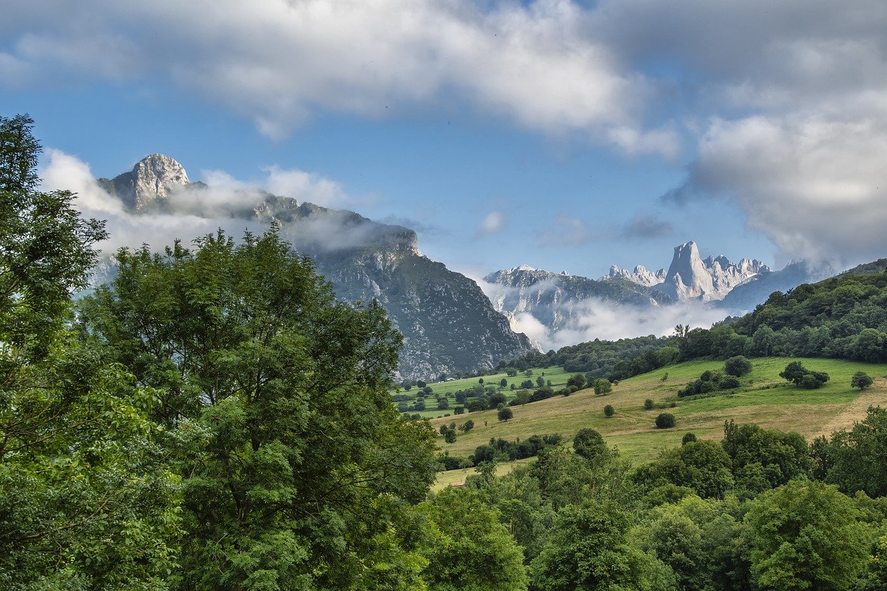 mountains, trees, nature-6972216.jpg