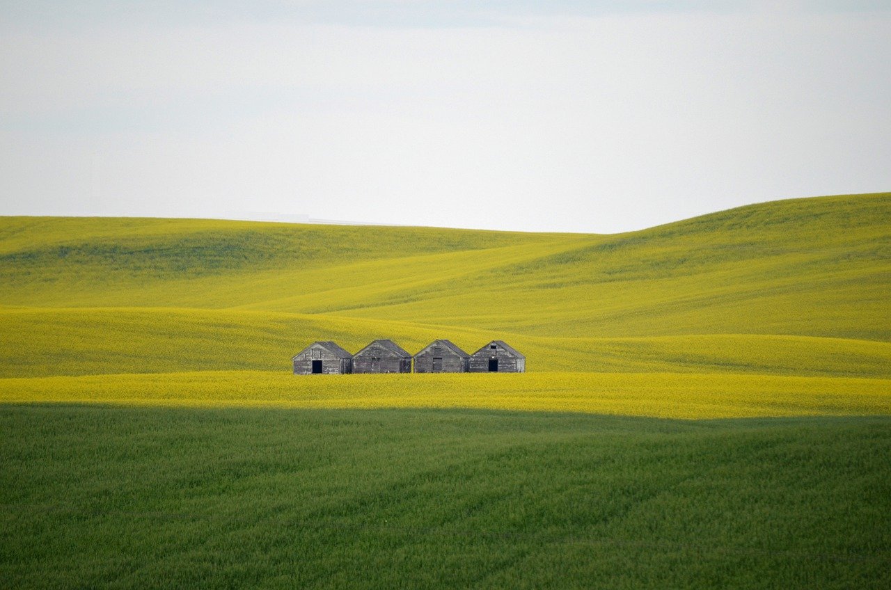 field, hills, barns-7025238.jpg