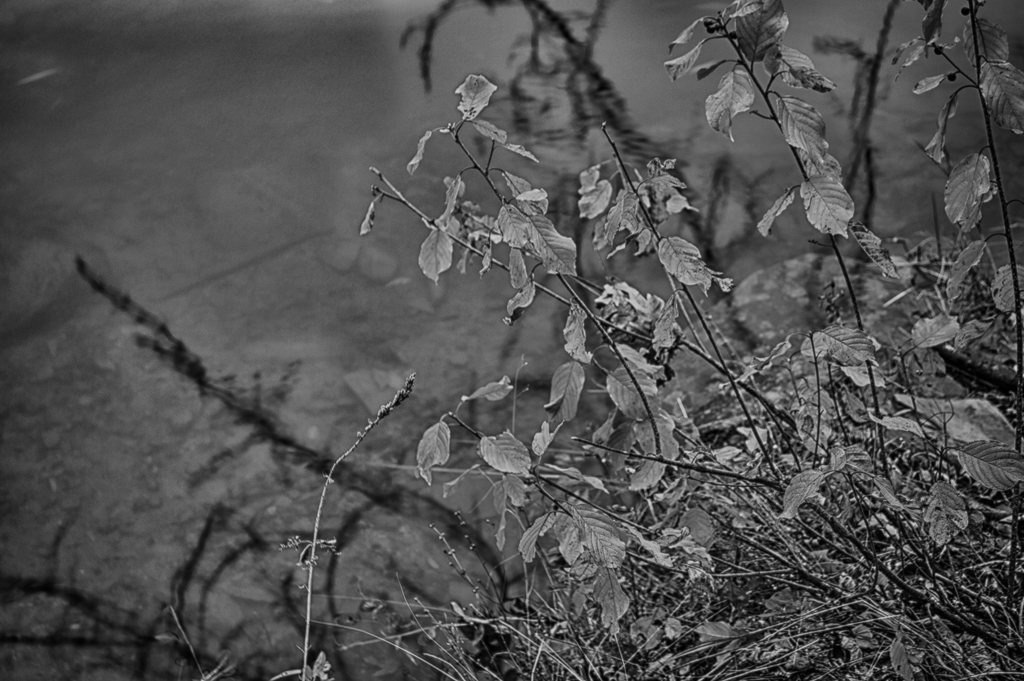 Assignment 8 MatthewM