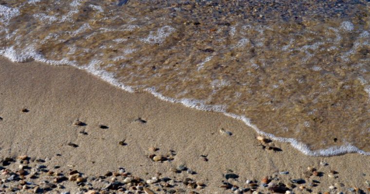 Assignment6_CaitlynS