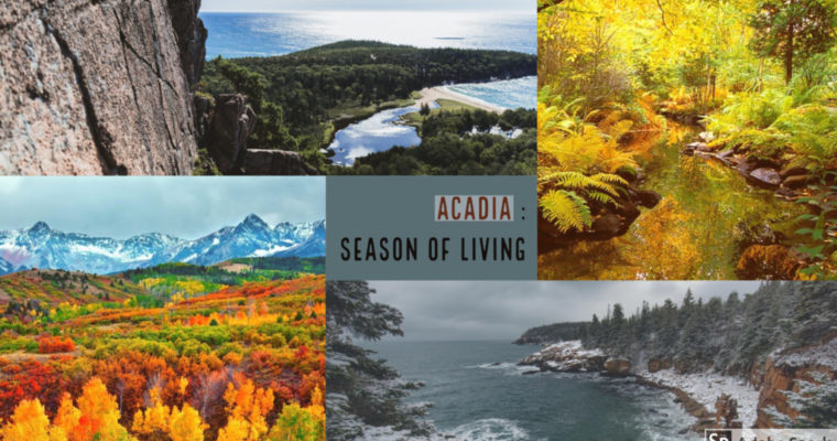 Liwen C – Assignment 1 Revised