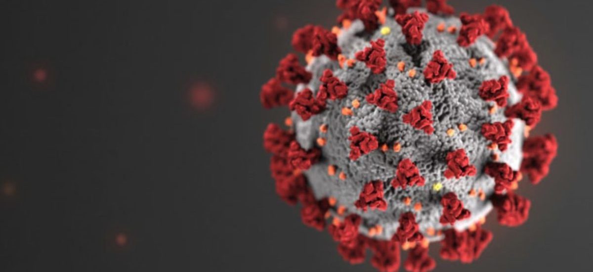 How COVID-19 is Effecting Everyone Carly-C