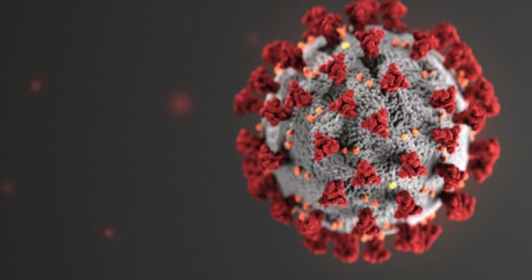 Project 6 – Andreas Sandoval