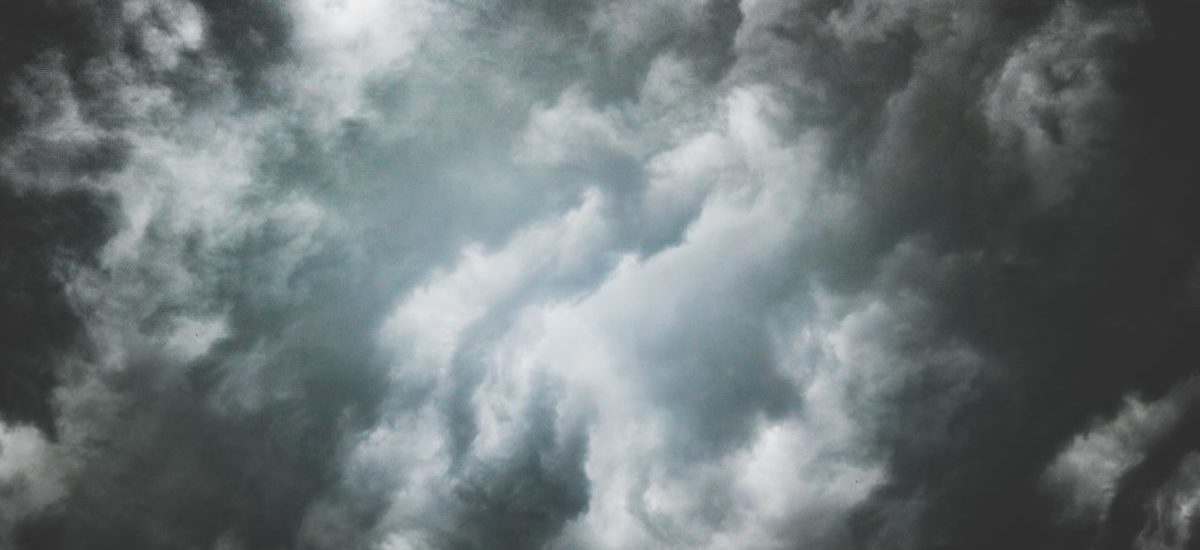 Project 7: Final Project Proposal – CarlyC