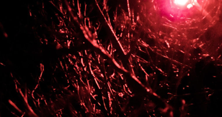 Project 6 – Tyler D’Ambrosio