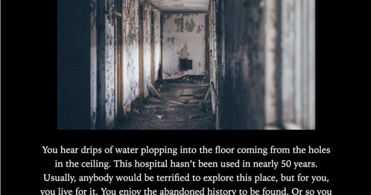 MichaelC – Journal 6