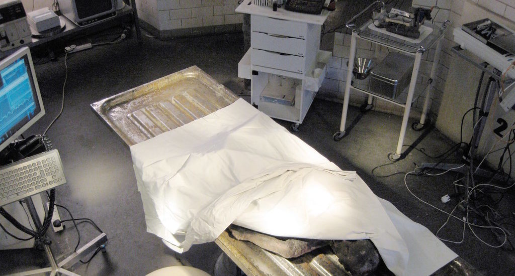 Task 2 – Chris Anderson