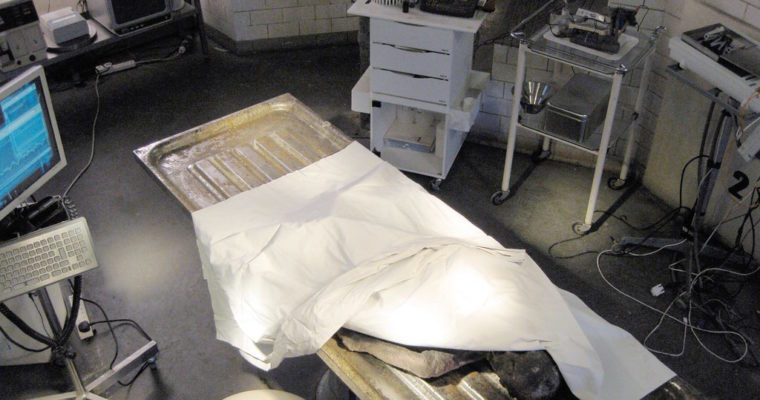 Task 2 – Chris Anderson