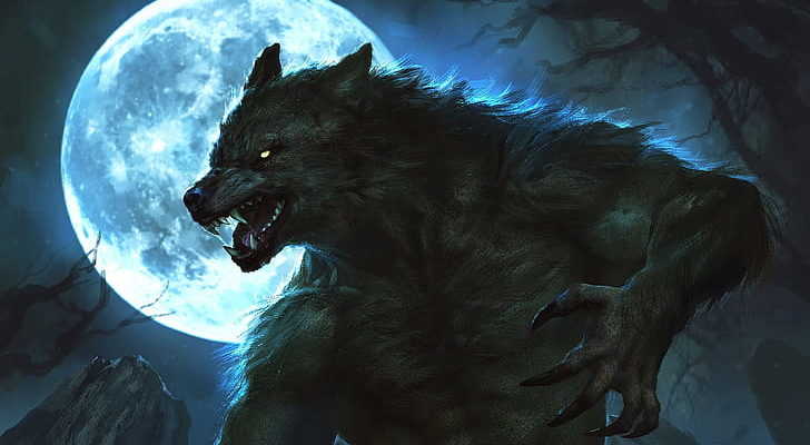 Task 2 – Stella C.