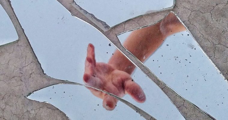 Task 7-Revise Project